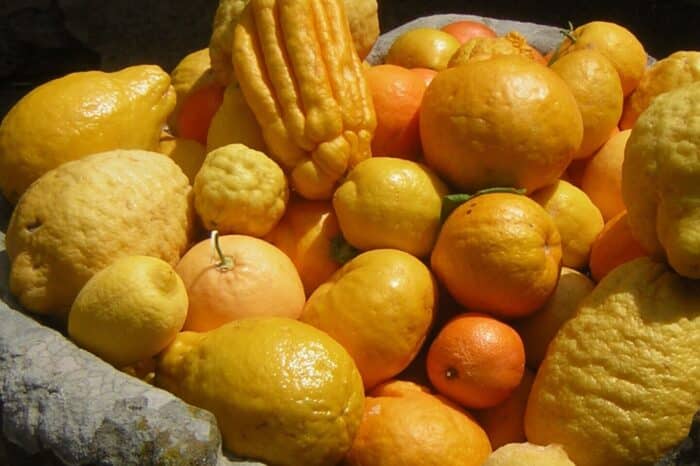 Festa dei Limoni e Montecarlo