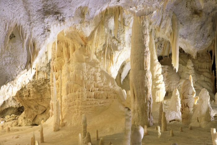 Alla Scoperta delle Grotte di Frasassi
